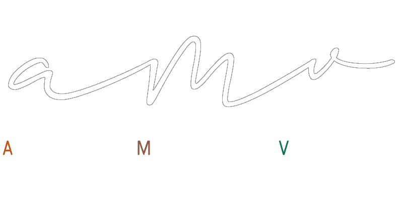 Amis de la Musique en Vendômois