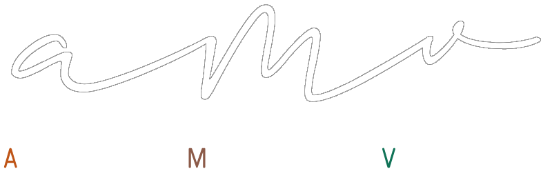 Amis de la Musique en Vendômois